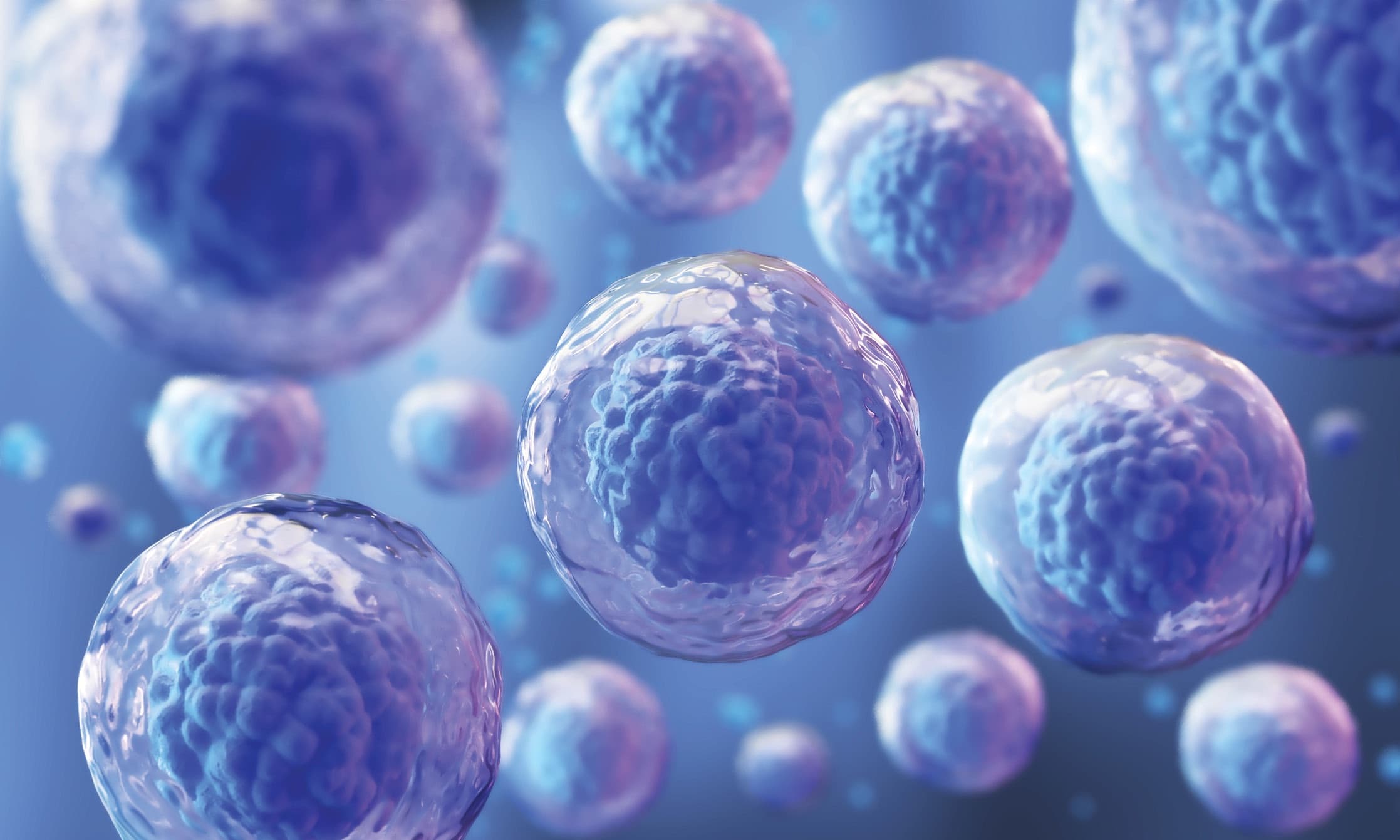 Regenerative micrografts prepared at London Cartilage Clinic